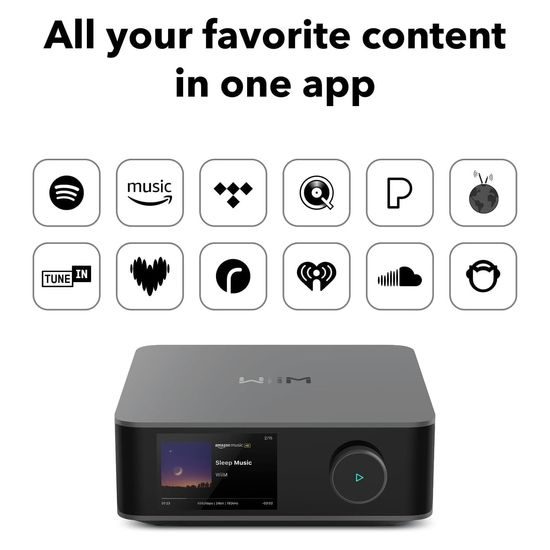 Wiim Amp Ultra - sivý