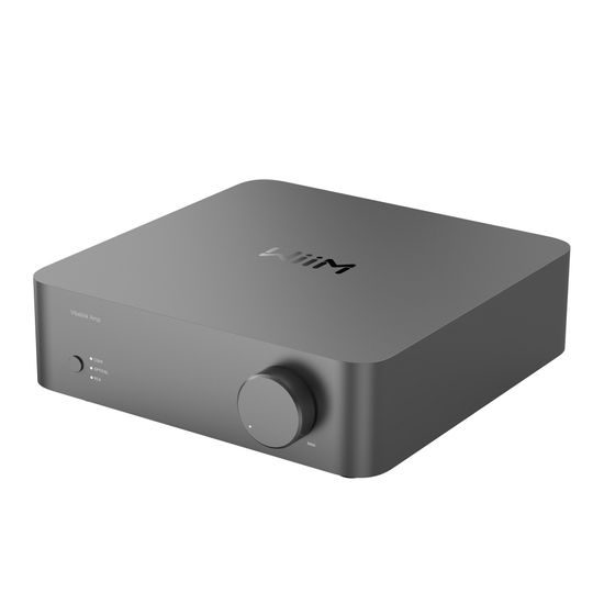 WiiM Vibelink Amp - strieborný