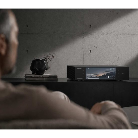 EverSolo T10