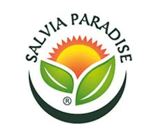 Salvia Paradise