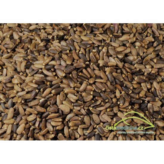 Ostropestřec mariánský semínko (Silybum marianum) (2,5 kg)