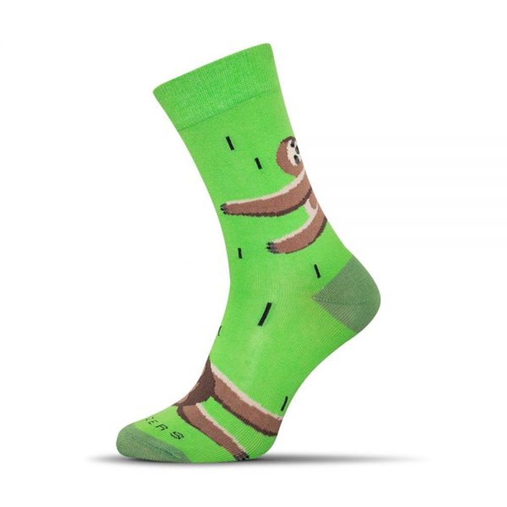 E-shop Pánske ponožky Leňochod