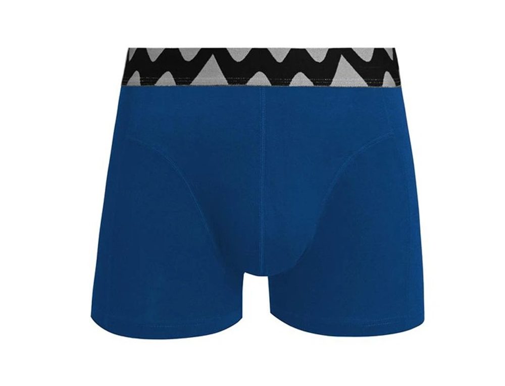 E-shop Bavlnené boxerky v modrej farbe Volis