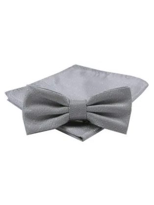 Sivý elegantný pánsky motýlik