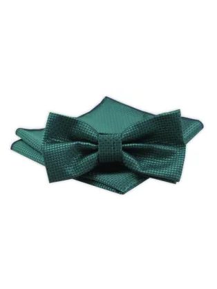 Trendy zeleno-modrý pánsky motýlik Alties