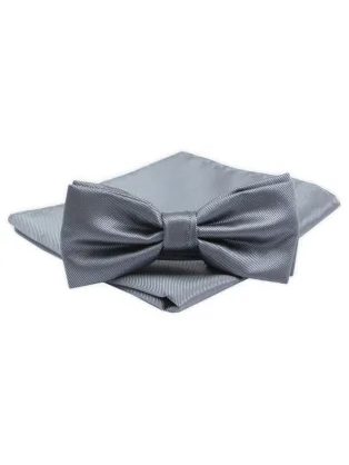 Sivý elegantný pánsky motýlik