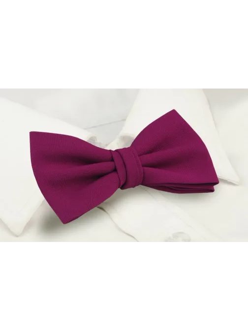 Červeno-fialový pánsky motýlik Chattier