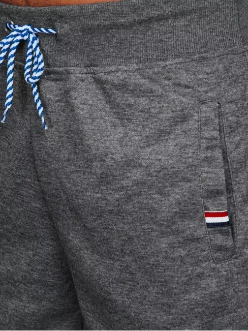 Športové pánske kraťasy na leto sivej farby