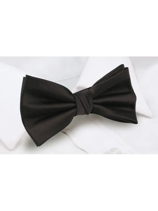 Tmavohnedý pánsky motýlik Chattier