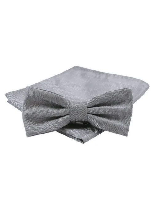 Sivý elegantný pánsky motýlik