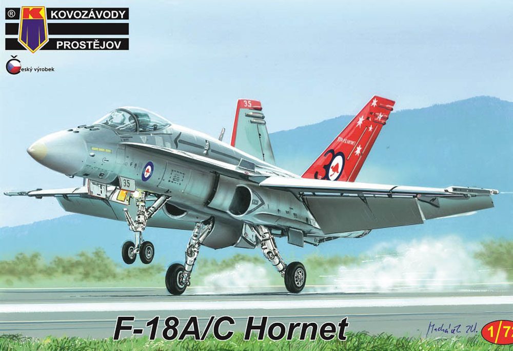 Zbytky F-18A/C Hornet