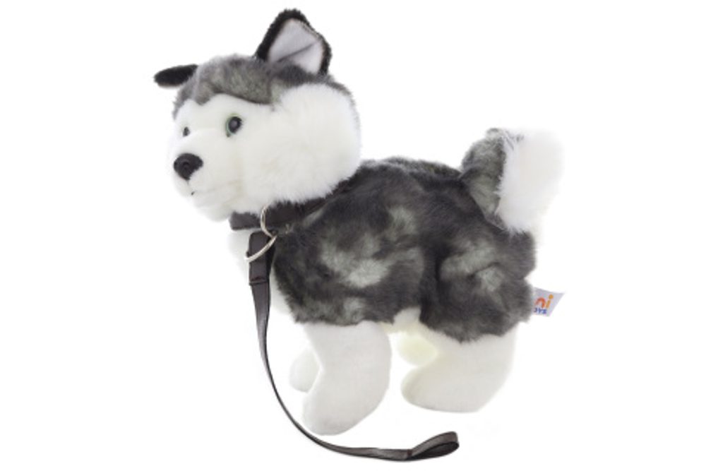 Popron.cz Plyš Husky s vodítkem 25 cm