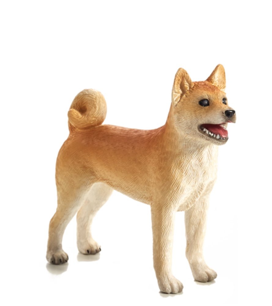 Mojo Pes Shiba Inu