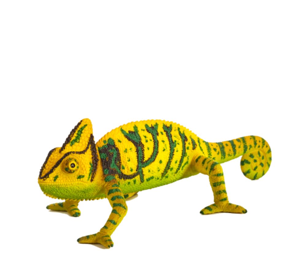 Mojo Chameleón