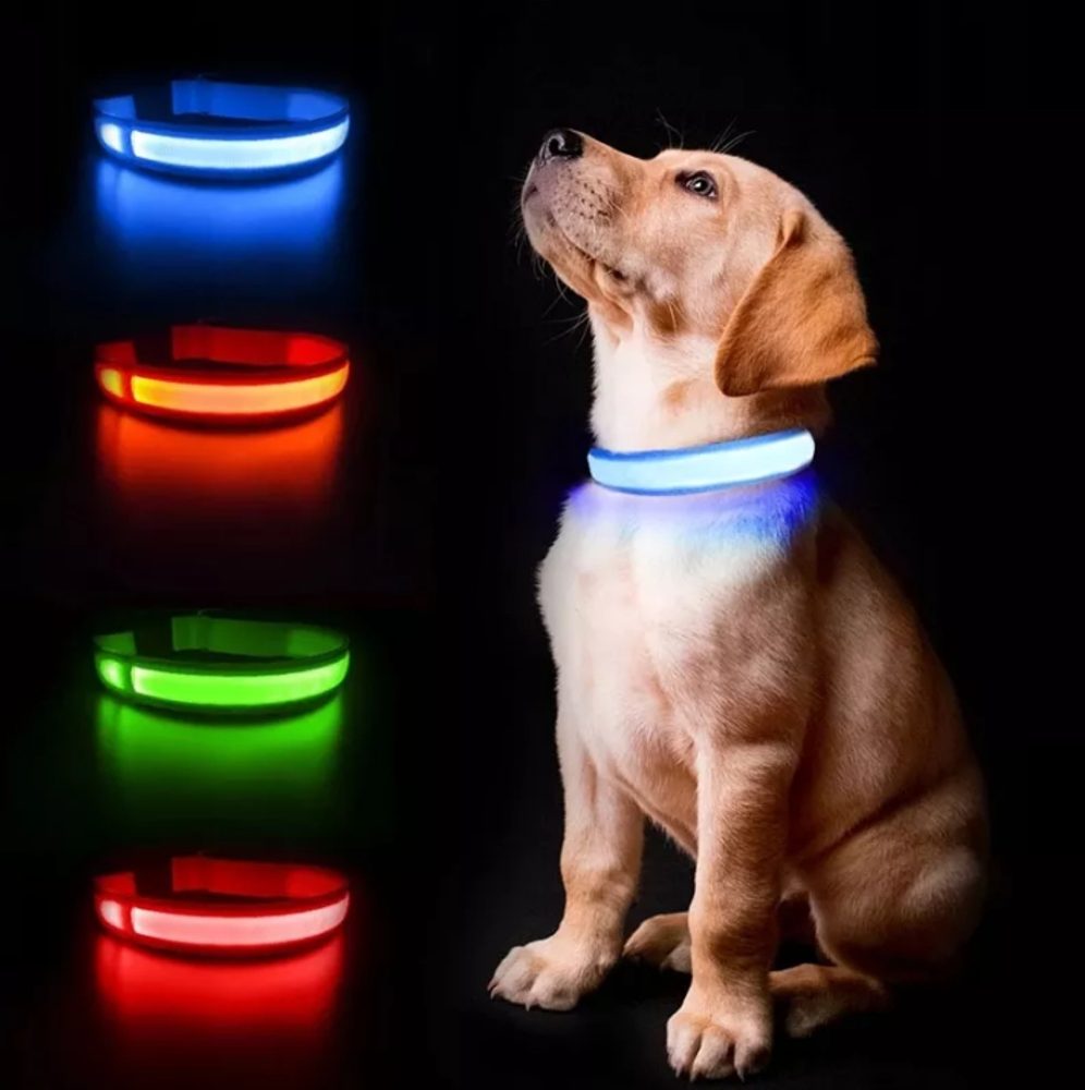 Popron.cz Barevný svítící LED obojek pro psy či kočky - na baterie