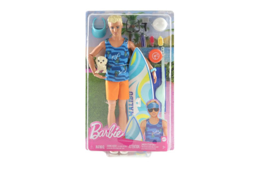 Popron.cz Barbie Ken surfista s doplňky HPT50