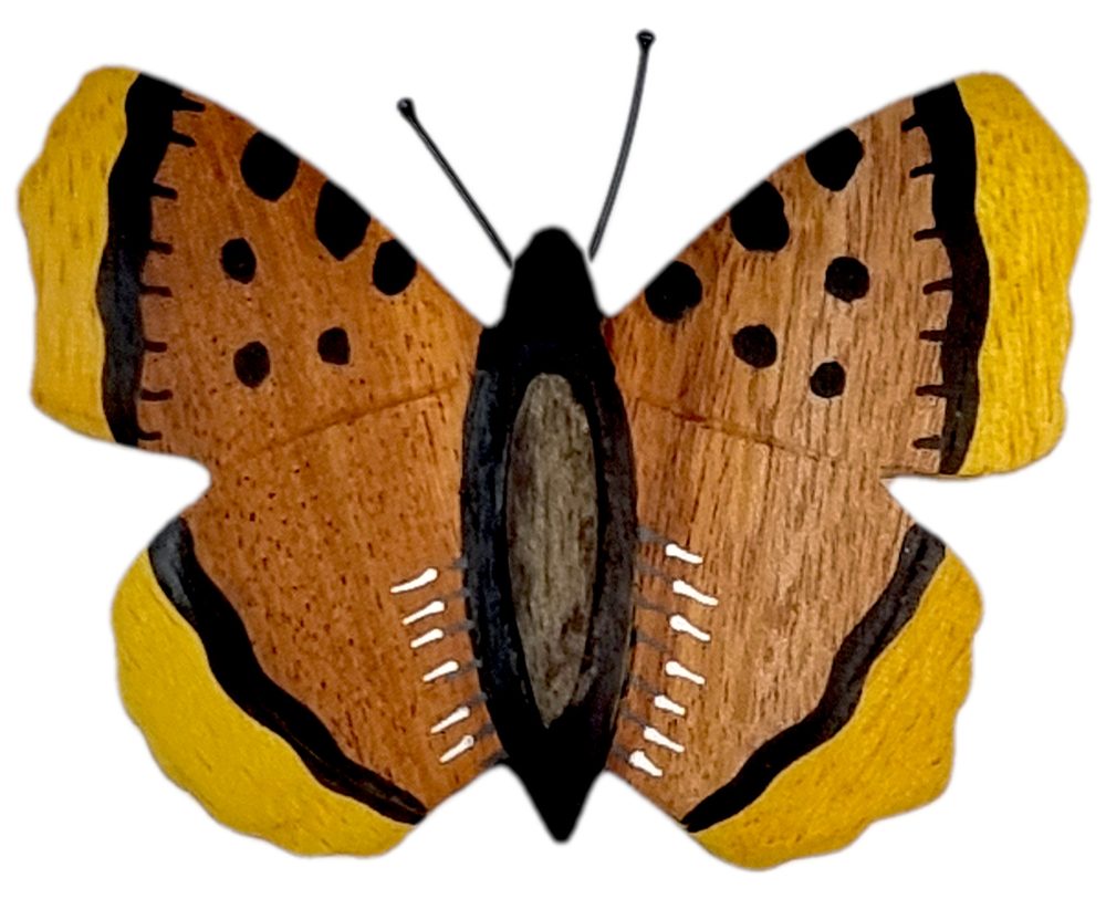 Dvěděti Dřevěná magnetka velká Motýl