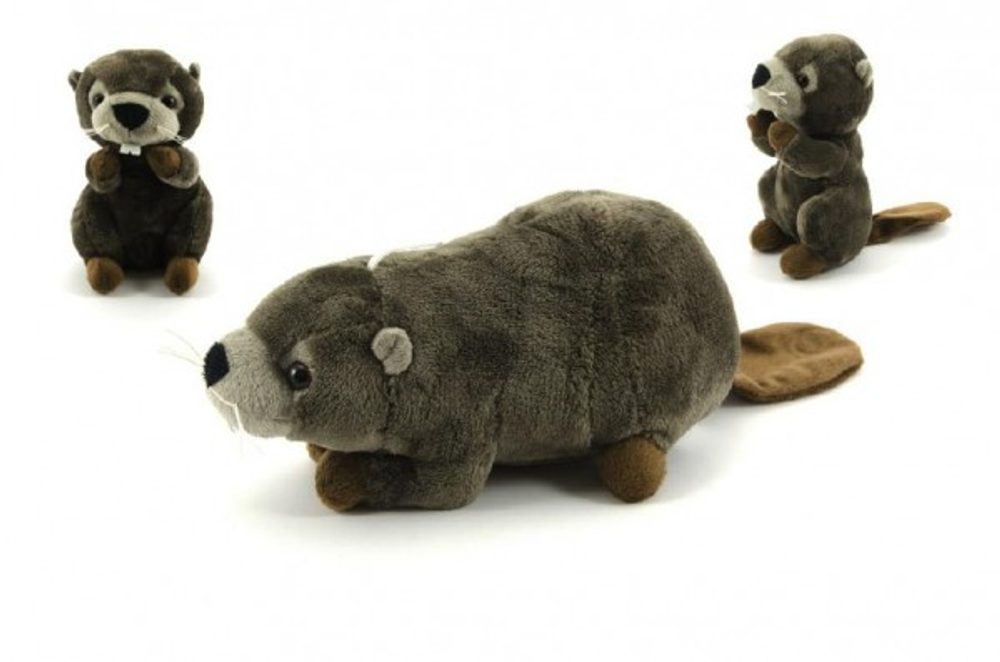 Teddies Bobr plyš 23cm asst 2 druhy
