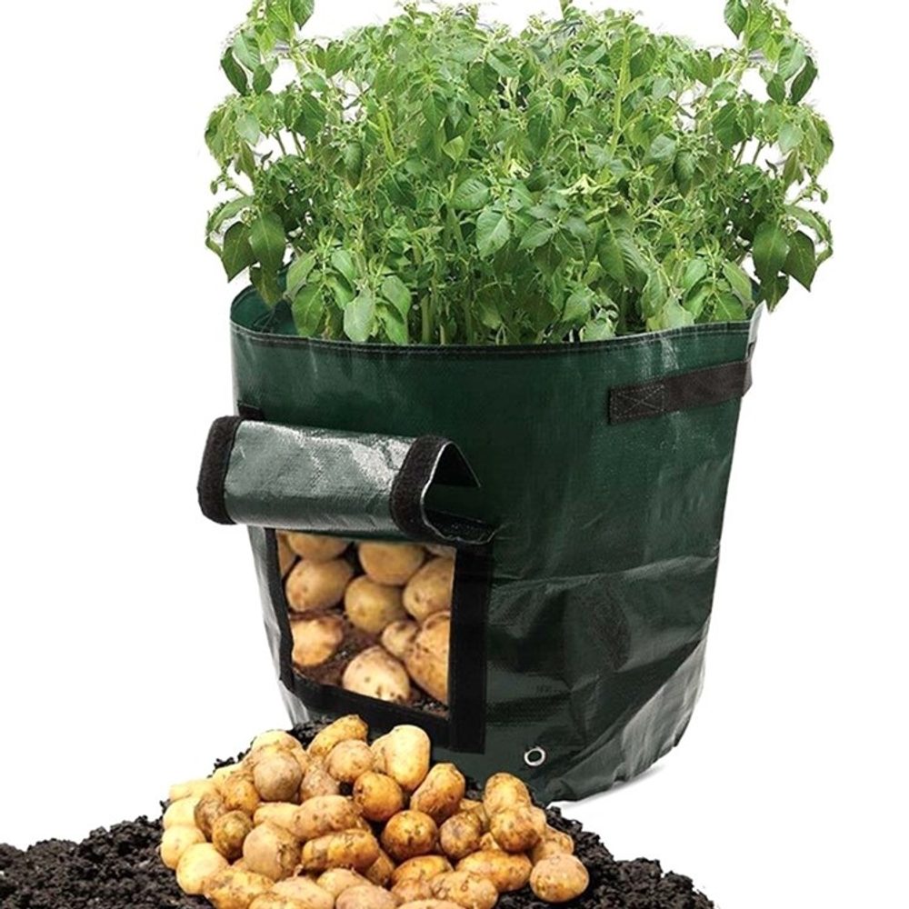 Popron.cz Multifunkční pytel na sázení a pěstování brambor 40 cm - zelený (APT)