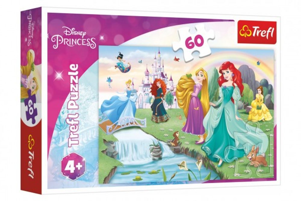 Trefl Puzzle Poznejte princezny 33x22cm 60 dílků v krabičce 21x14x4cm