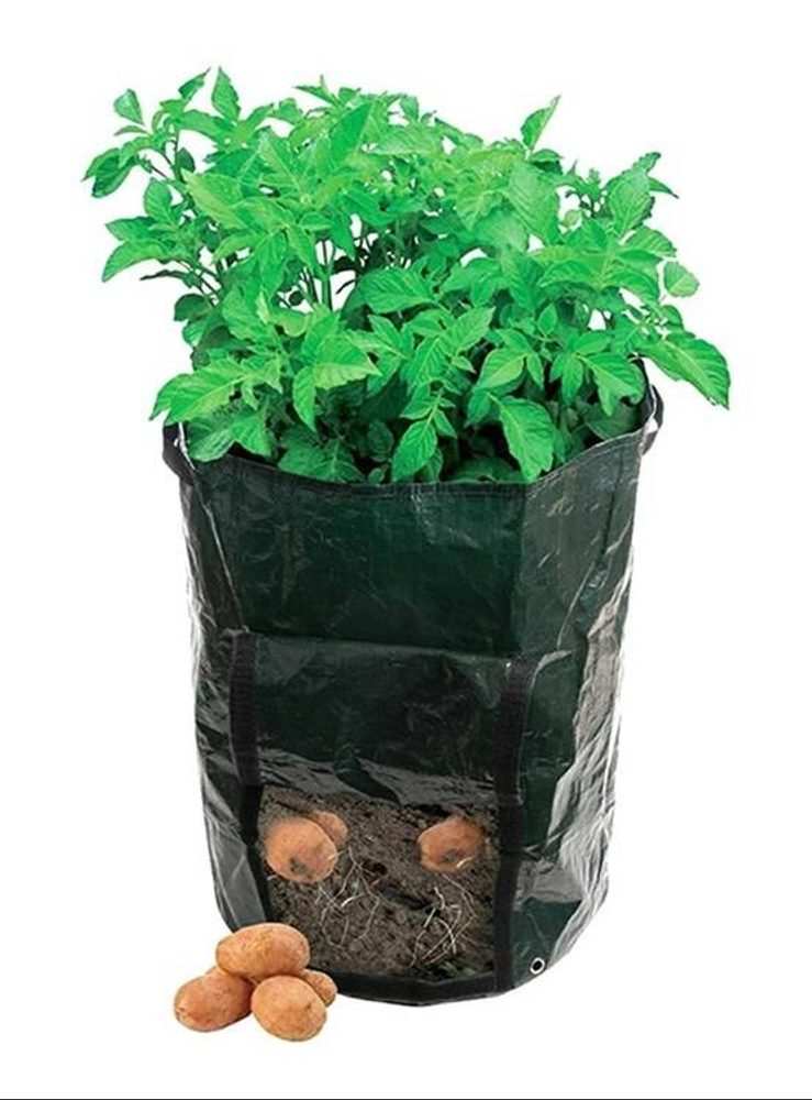 Multifunkční pytel na sázení a pěstování brambor 40 cm - 1 kus