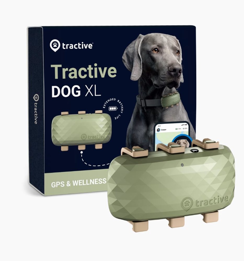 Popron.cz Tractive DOG XL / Adventure - půjčení (Celosvětové pokrytí).