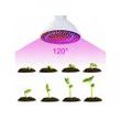 LED lampa pro růst rostlin