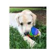 LANCE Pets - Hračka pre psov - Basketbalová lopta farebný