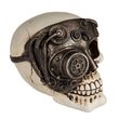 Popron.cz Treasury, Cyborg Skull