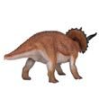 Mojo Triceratops