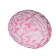 Antistresový míček, mozek
