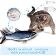 Flippity Fish - Hračka pro kočky ryba