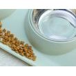 Dvojitá miska na krmivo a vodu pro domácí mazlíčky (Verk)