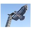 Létající drak orel 200 x 83 cm s navijákem
