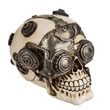 Popron.cz Treasury, Cyborg Skull