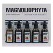 Olej na tvář Magnoliophytha šípek (50 ml)