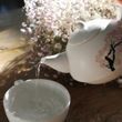Čarovná kanvica na čaj s čerešňovým kvetom