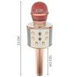 Karaoke mikrofon s reproduktorem Izoxis (ISO)