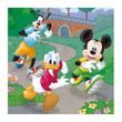 WD Mickey a Minnie sportovci 3x55D