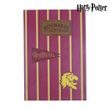 Poznámkový Blok + Tužka Gryffindor Harry Potter Harry Potter Červený