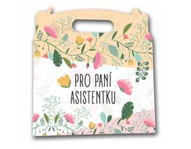 LIPOO NAMIXUJ SI BOX - PRO PANÍ ASISTENTKU