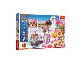 Puzzle Paw Patrol/Tlapková patrola Skye v akci 41x27,5cm 100 dílků v krabici 29x19x4cm