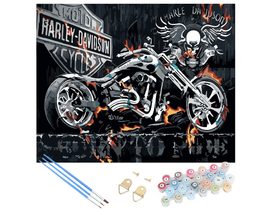 Malování podle čísel 40x50 cm - Motorka Harley Davidson