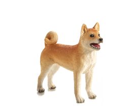 Mojo Pes Shiba Inu