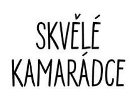 Skvělé kamarádce