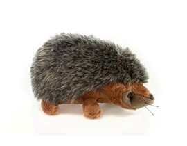 Hedgehog