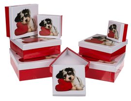 Nastavte červené/biele darčekové boxy, pes so srdcom