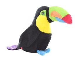 Toucan