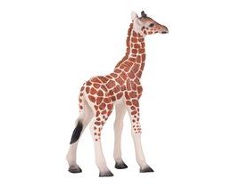 Mojo Žirafí mládě