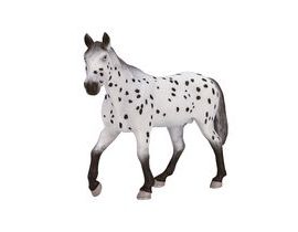 Mojo Appaloosa hřebec